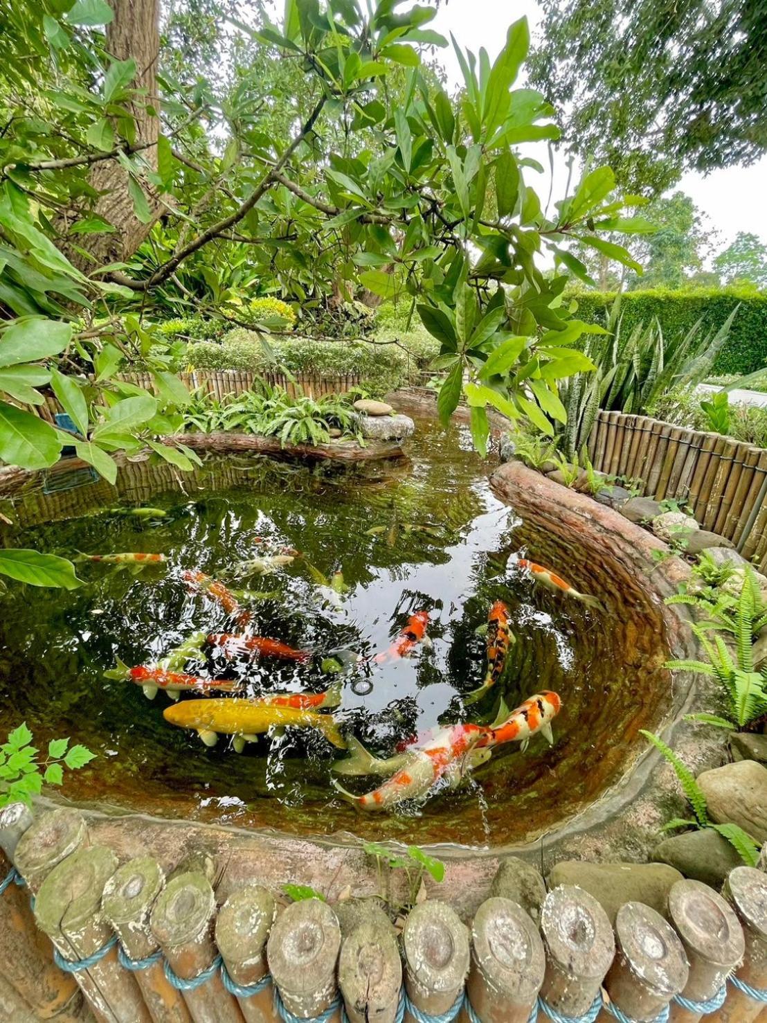 River Valley Resort แอทน่าน Dış mekan fotoğraf