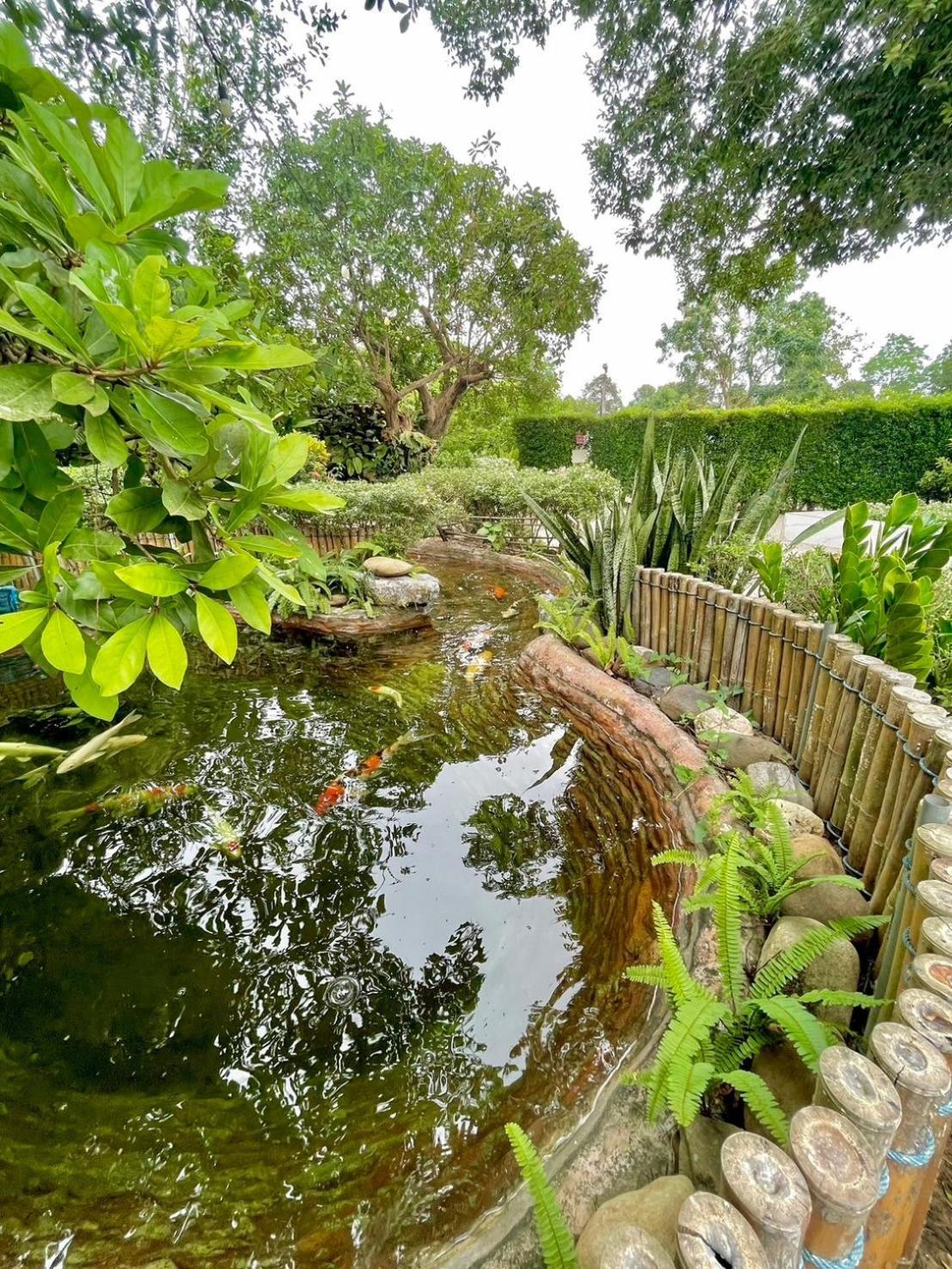 River Valley Resort แอทน่าน Dış mekan fotoğraf