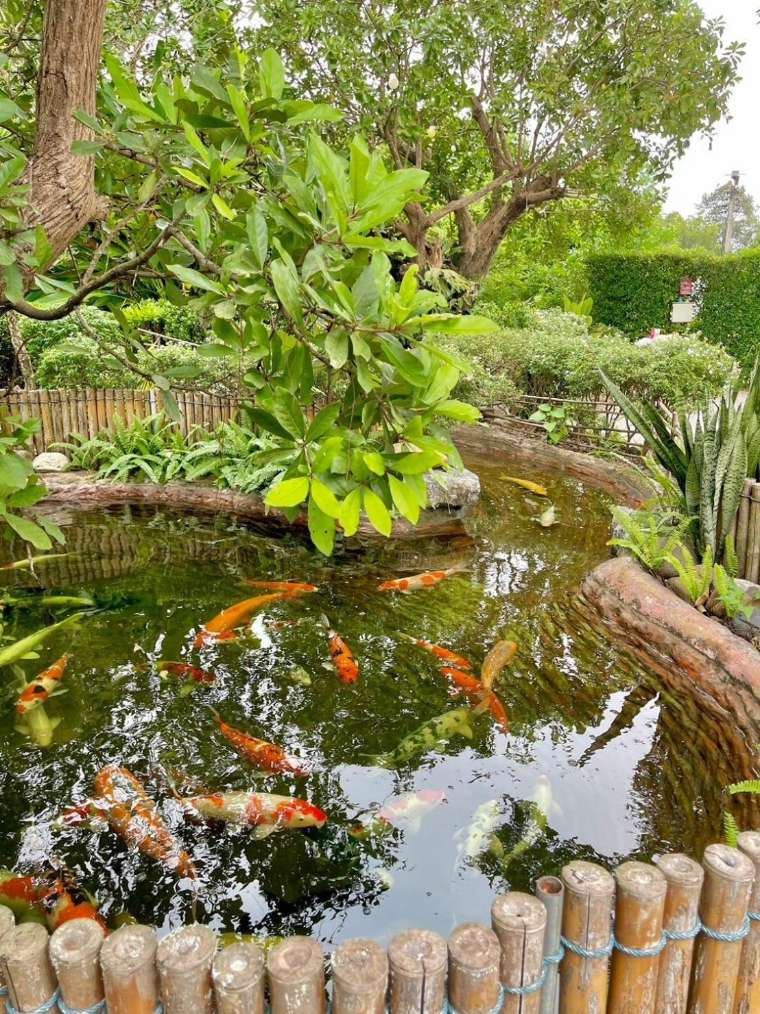 River Valley Resort แอทน่าน Dış mekan fotoğraf