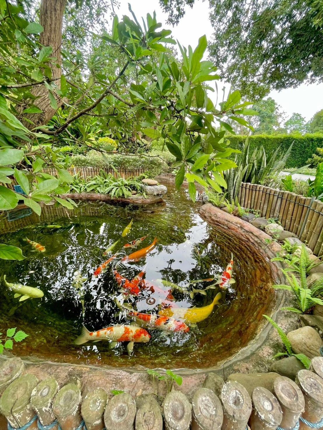 River Valley Resort แอทน่าน Dış mekan fotoğraf